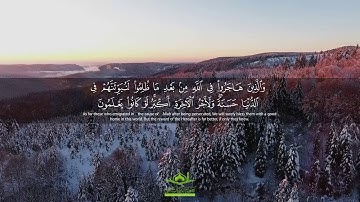 تلاوة رائعة: "الَّذِينَ صَبَرُوا وَعَلَى رَبِّهِمْ يَتَوَكَّلُونَ" | سورة النحل | قرآن