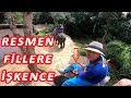 Phuket ada turu TAYLAND - Fillere İŞKENCE!!! /35