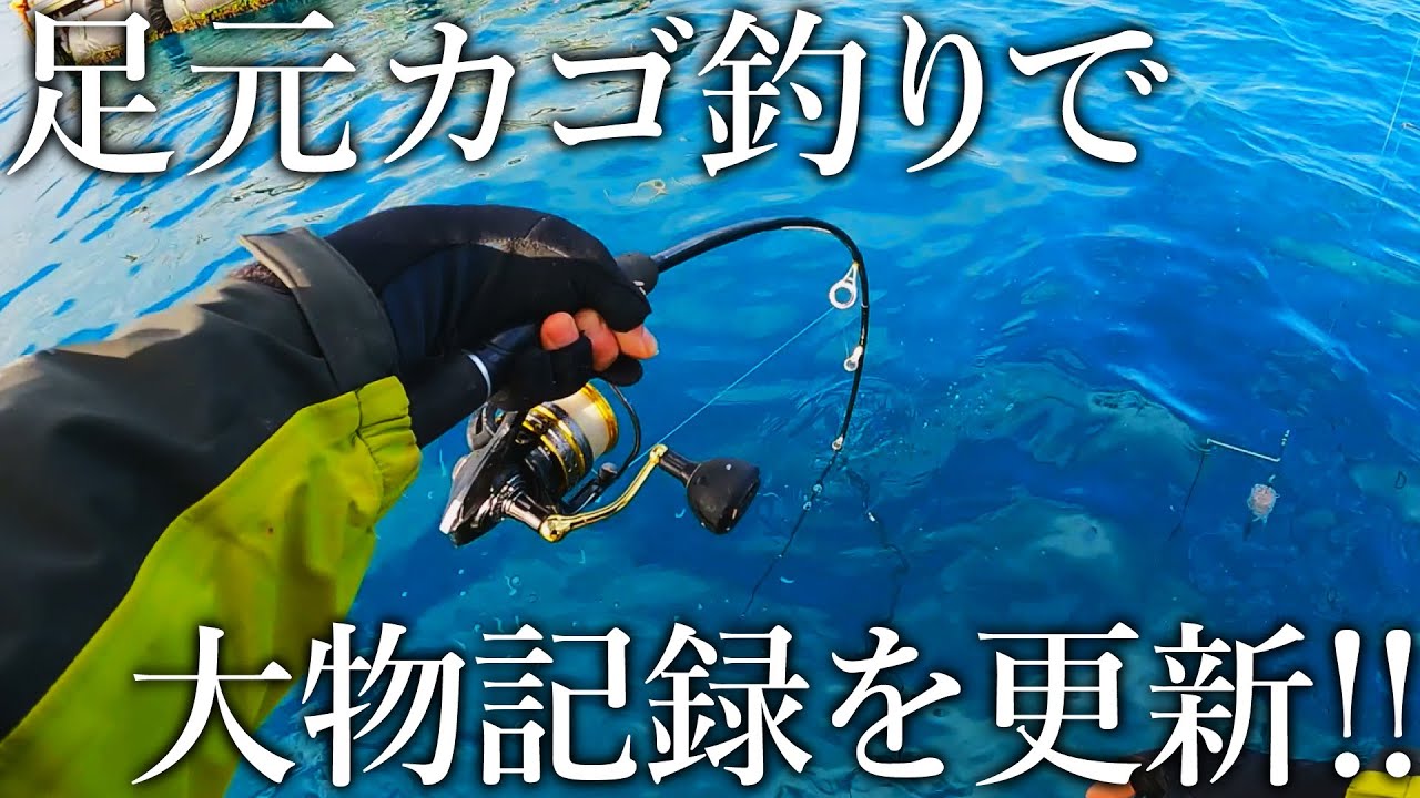のんびり釣行のはずが足元で想定外の大型青物が食ってきて絶体絶命に…