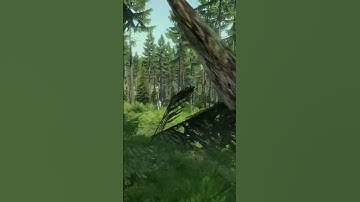 Never reload too early#dayz#enemynumberone #gaming