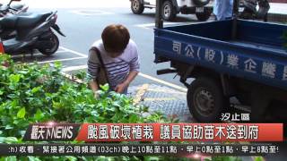 1041117觀天下新聞HD04 汐止區颱風破壞植栽 議員協助苗木送到府