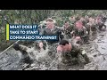 Tough threeday course before starting royal marine commando training