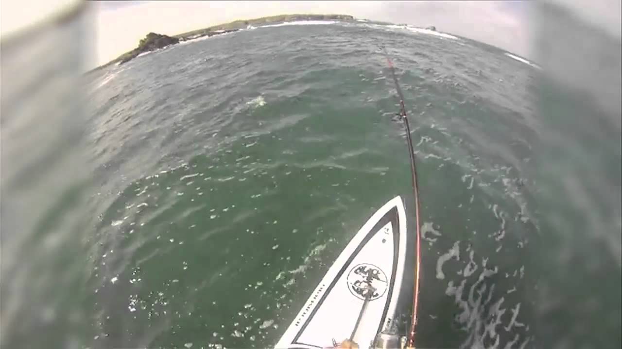 Insolite : la pêche en stand up paddle par Pascal le Bohec - YouTube