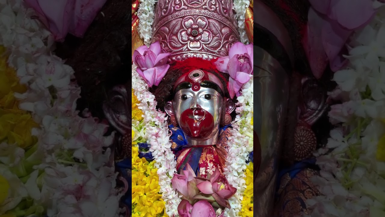 Jai Maa Tara 🌸🥰 