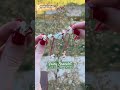 fairy fantasy bracelet tutorial 🧚‍♀️#bracelet #fairy #fairybracelet #fantasy #diy #diybracelet