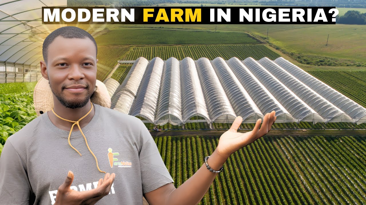 How He Makes Millions from BELL PEPPER Farming in Africa