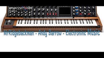 I Bought a Rug - Original Composition By Andy Barrow