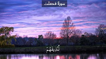 سورة فصلت page 478 {القارئ اسلام صبحي}