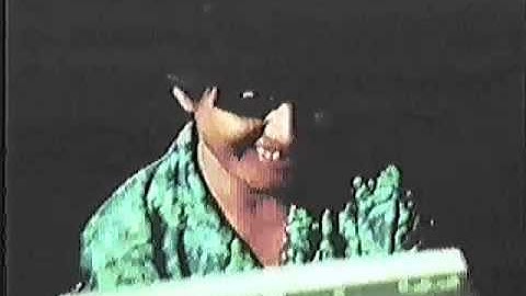 Interpreter Function of the Left Hemisphere