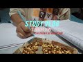 Study vlog 