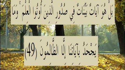 القران الكريم سورة العنكبوت الأية 49.wmv