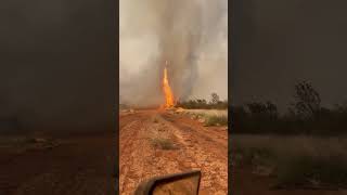WATCH: Unprecedented 'firenado' ravages Australian farmland amid intense bushfires 🔥🌪 #shorts