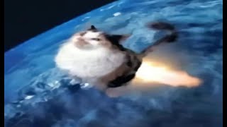 shitpostatus and memes compilations v126