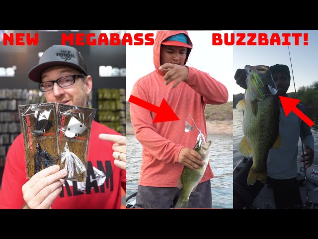The Best New Buzzbait On The Market?! The Megabass Jamaica Boa! 