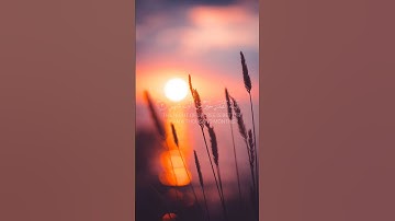 سورة القدر القارئ حسام الدين عبادي #راحة_نفسية