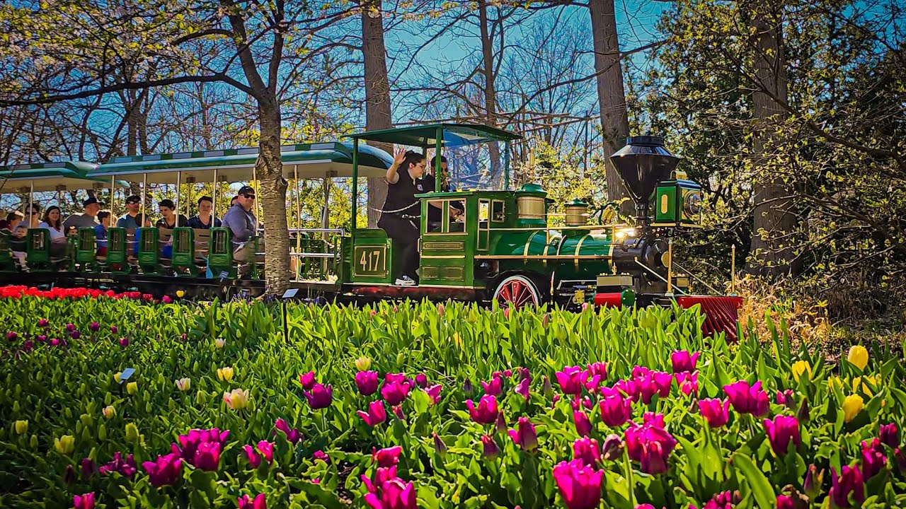 Cincinnati Zoo's New Electric Train and more YouTube