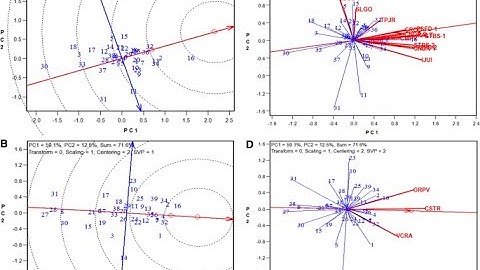 GGE Analysis in R(Genotype+Genotype  Environment interaction)  - Part II