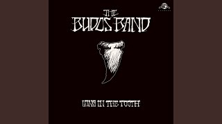 Video thumbnail of "The Budos Band - Long in the Tooth"