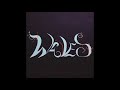 XAI - Waves~acoustic version~