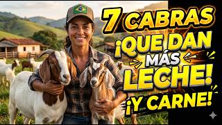 7 Goat Breeds That Gain Weight Quickly and Produce Lots of Milk on Little Feed