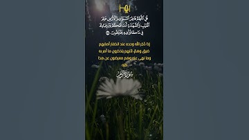 القارئ /عمر النبراوي-رواية ورش#تلاوات #قرآن