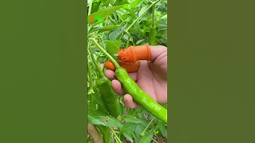 Vật tư nông nghiệp công nghệ cao, Thế giới máy nông nghiệp