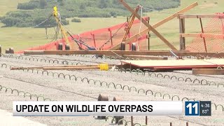 Colorado Building World’s Largest Wildlife Bridge Deck to Reduce Crashes on I-25