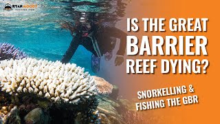 Is the Barrier Reef Dying? Fishing and Snorkelling the GBR.