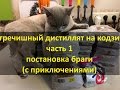 Гречишный дистиллят на кодзи. Часть 1. Постановка браги с приключениями)