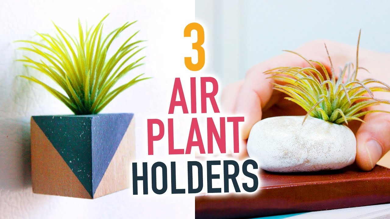 Air Plant Holder with Rock and Wire {DIY Air Plant Display