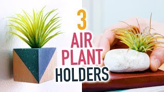 3 DIY Air Plant Holders ~ Cute Room Decorations! - HGTV Handmade