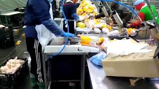 whole chicken packer