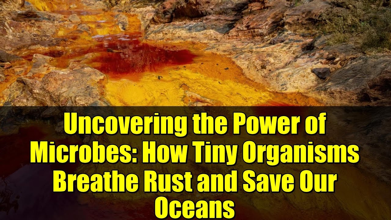 Uncovering the Power of Microbes: How Tiny Organisms Breathe Rust and Save Our Oceans