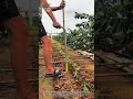 Revolutionizing Farming: The Ultimate Fast Bamboo Stake Driver Tool!
