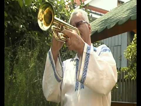 gheorghe pintileasa gheorghe pintileasa