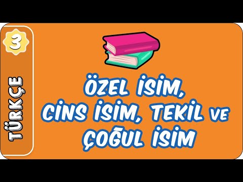 Özel İsim- Cins İsim, Tekil ve Çoğul İsim- Topluluk İsmi | 3. Sınıf Türkçe evokul Kampı