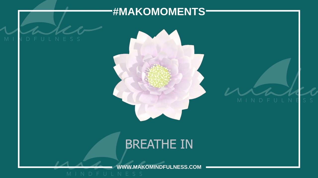 Breathing Animation White Flower YouTube