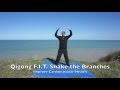 Qigong F.I.T. Shake the Branches of the Tree