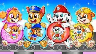 BREWING BABY CUTE PREGNANT & CUTE BABY FACTORY! - Paw Patrol The Mighty Movie | Rainbow 3