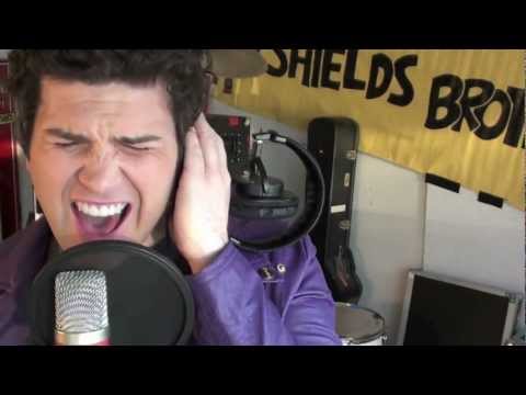 Bruce Springsteen's Fire - Cover by The Shields Br...