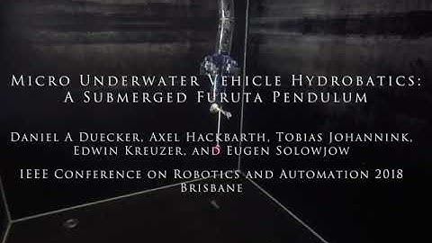 Hydrobatics: Robust Furuta Pendulum Control with Micro Underwater Robot HippoCampus  (ICRA2018)