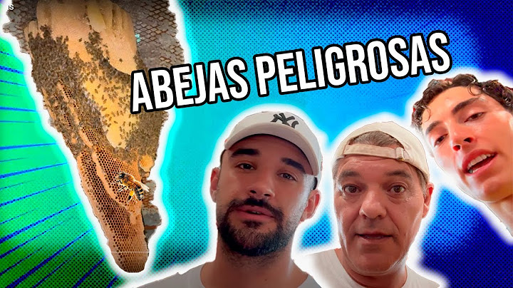 FRANK les prepara una SORPRESA a ILLOJUAN y PLEX en el SANTUARIO 😈😈😈