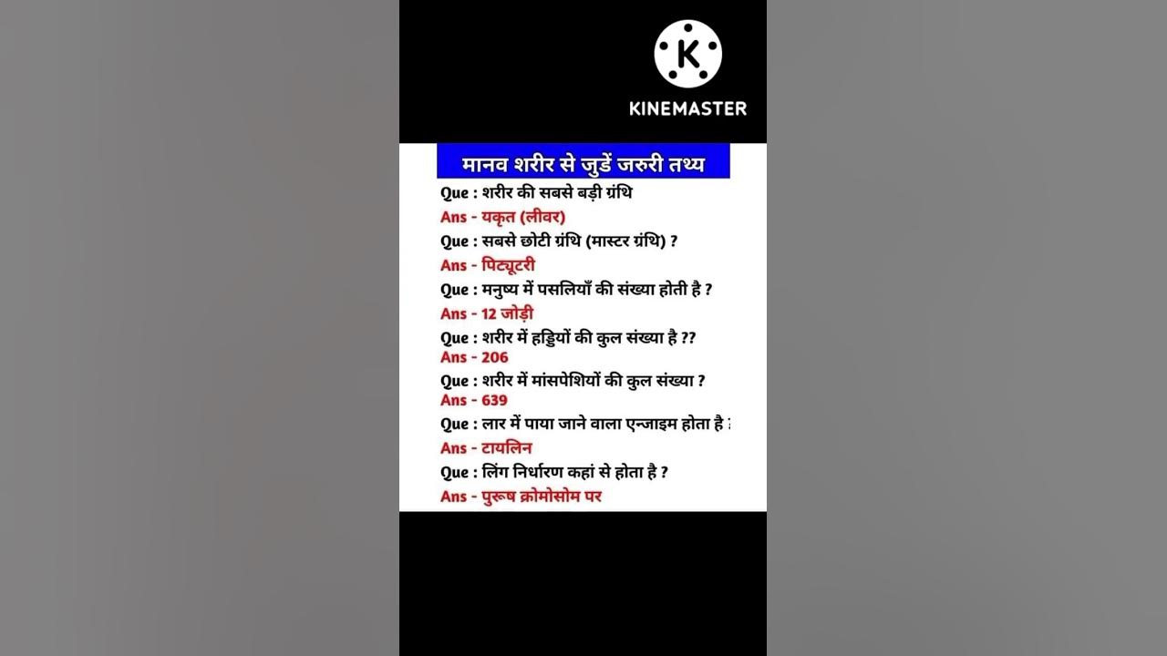 Manav Ke Sharir Mein Kitni Haddiyan Hoti Hai Manav Sharir Se Samanya manav-ke-sharir-mein-kitni-haddiyan-hoti-hai-manav-sharir-se-samanya