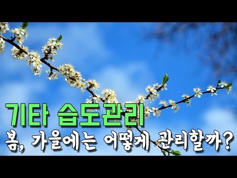 봄, 가을에는 어떻게 습도관리하면 좋을까? By 통기타이야기