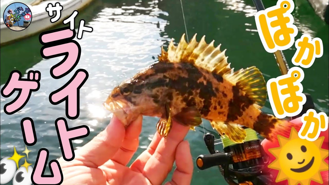 Hiroshima Prefecture〛 Early December fishing trip 🎣 I did a site