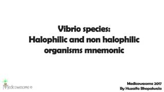 Vibrio Species Halophilic And Non Halophilic Vibrio Mnemonic