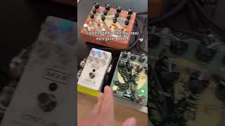 Explaining to my wallet why I need more guitar pedals 🎸 #guitar #guitarist #upcomingmusician