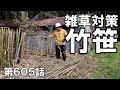 蛇対策に長脚絆｜屋根の上の鯱｜枝落としした笹を敷き詰めると雑草対策にならないかな～？