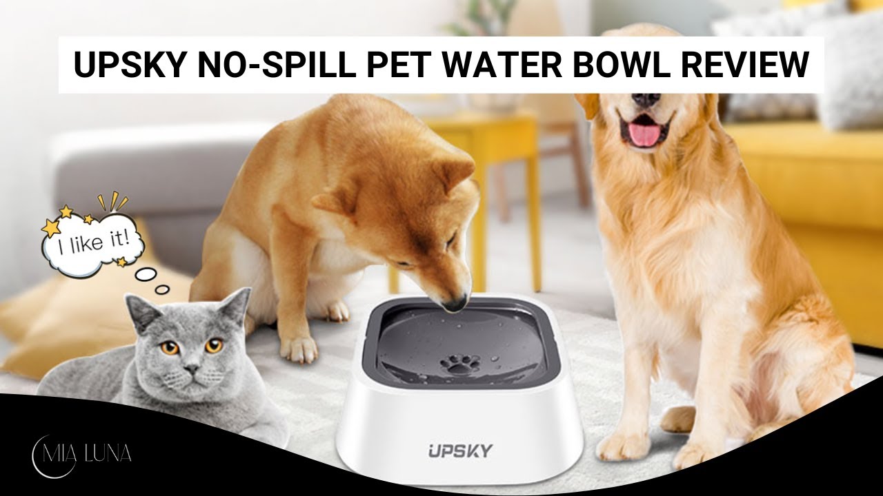 Tired of Messy Floors? Prevent Your Cat From Splashing Water with This Splash-Proof Water Bowl!