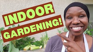 How to Start an Indoor Garden!
